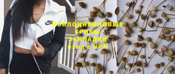 синтетический гашиш Снежногорск