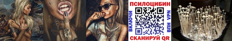 Галлюциногенные грибы GOLDEN TEACHER  наркота  Удомля 