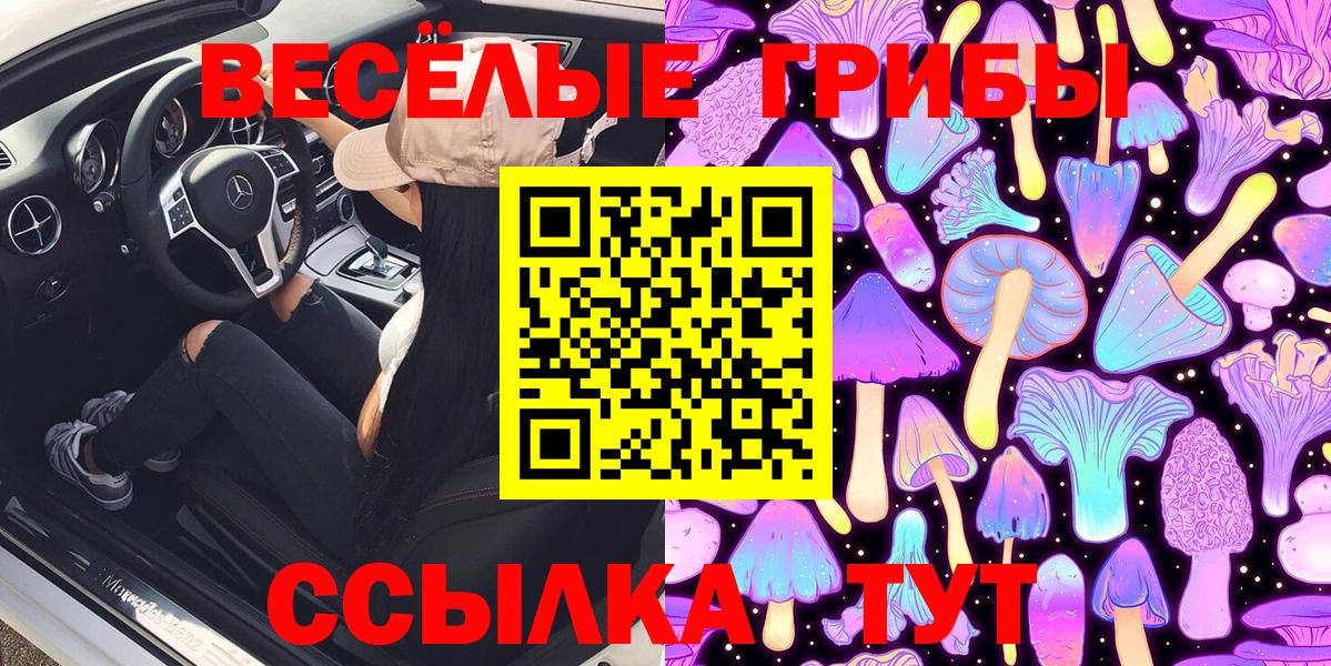 Галлюциногенные грибы GOLDEN TEACHER  Псилоцибиновые грибы MAGIC MUSHROOMS  Вход с VPN  Удомля 