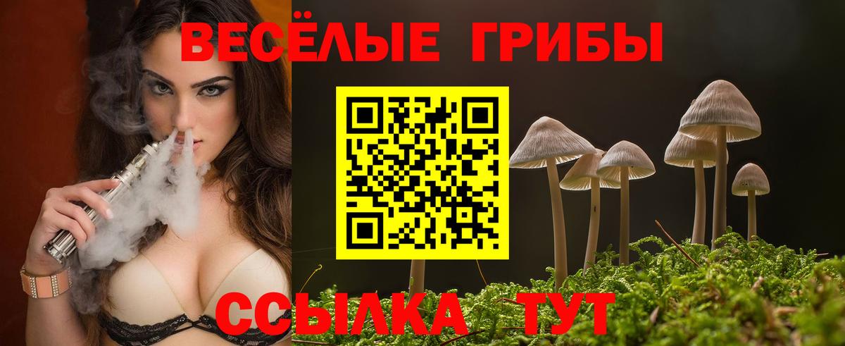 Галлюциногенные грибы MAGIC MUSHROOMS Удомля